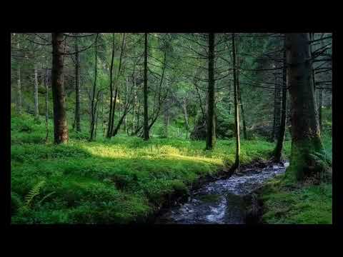 Видео: 29 сентября 2025 г.