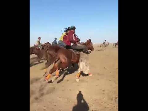 Видео: Көкпар 24.09.2022ж Астана Нұрсұлтан шабандоз