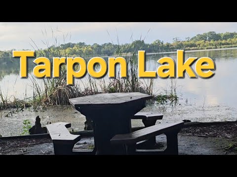 Видео: День 61. Трудовые будни. Новое озеро, Tarpon Lake,  парк.