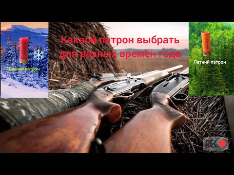 Видео: Какой патрон идеален для зимы? А какой неплохой для летний охоты!