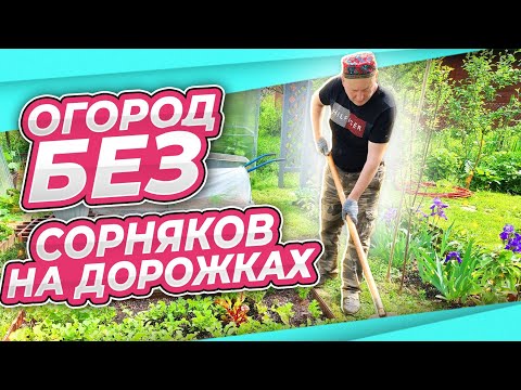Видео: МУЖ ВОЗИТ ГАЛЬКУ | СТРИГУ ТУЙКУ | БОРЬБА С СОРНЯКАМИ НА ДОРОЖКАХ и МЕЖДУРЯДЬЯХ