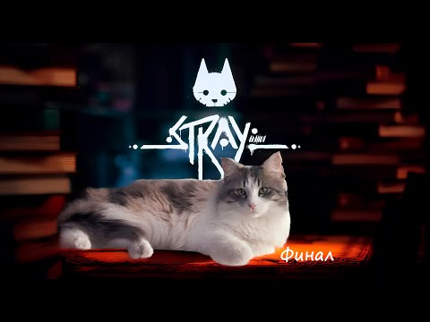 Видео: Stray. Часть 4. Блин, уже ФИНАЛ!