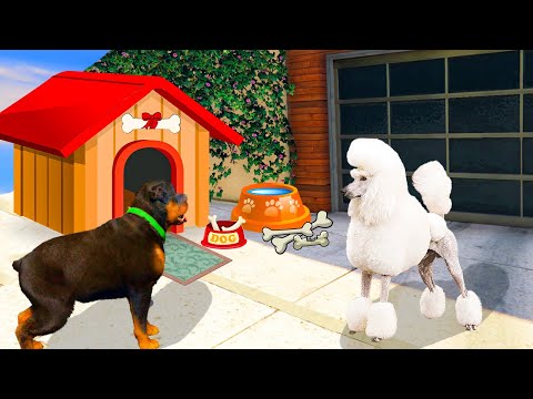 Видео: ЧОП ДОСЫНА ҮЙШІК СЫЙЛАДЫ (GTA V)