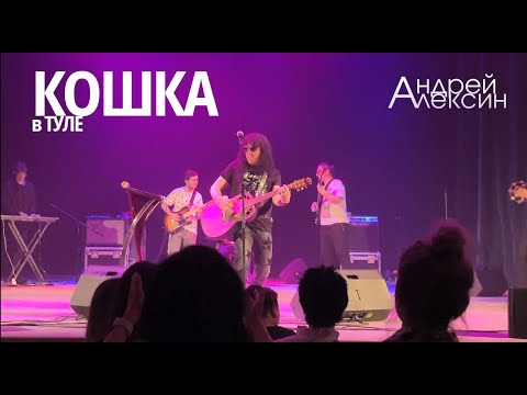 Видео: Андрей Алексин - Кошка