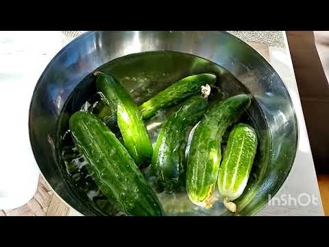 Видео: 336🥒как сохранить собранные  огурцы подольше свежими