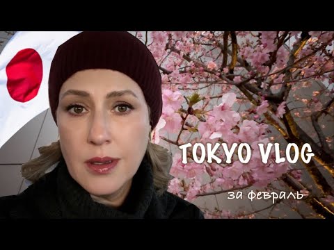 Видео: Tokyo Vlog. Кот стащил снотворное. Новые волосы. Влог за февраль.