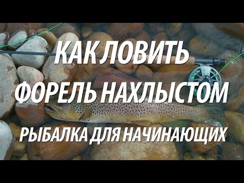 Видео: НАХЛЫСТОВАЯ СНАСТЬ ДЛЯ НАЧИНАЮЩИХ. РЫБАЛКА НА РЫБУ ФОРЕЛЬ НАХЛЫСТОМ