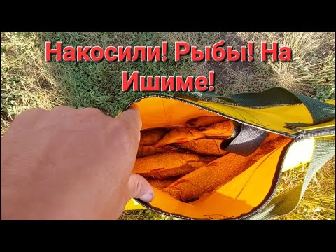 Видео: Один день на Ишиме! Рыбалка Удалась!