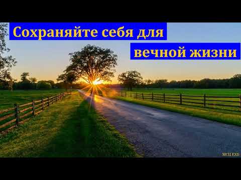 Видео: "Сохраняйте себя для вечной жизни". В. Тарасов. МСЦ ЕХБ.