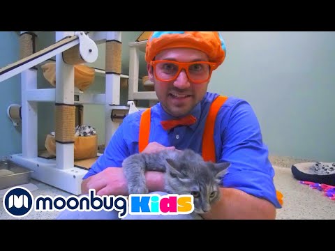 Видео: Блиппи в приюте для животных | Moonbug Kids на Русском | Мультики на Русском