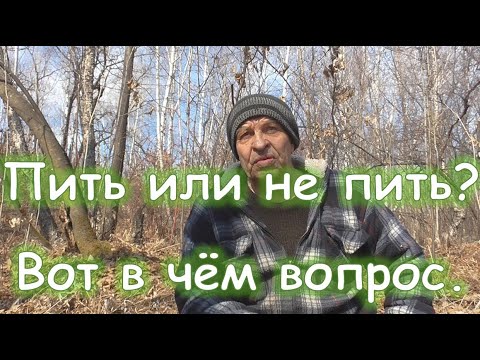 Видео: Пить или не пить? Вот в чём вопрос.