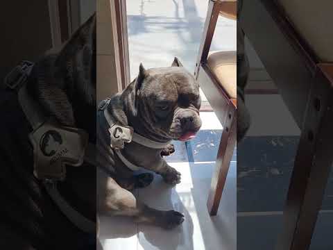 Видео: Хуньчунь 25.07.2024