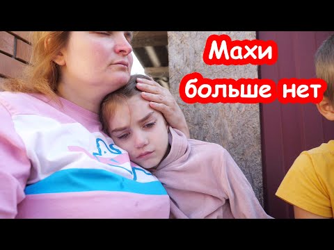 Видео: VLOG Мы сказали Алисе что Махи больше нет