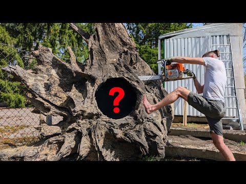 Видео: Самая ценная древесина на Земле: столешницы возрастом 5000 лет!