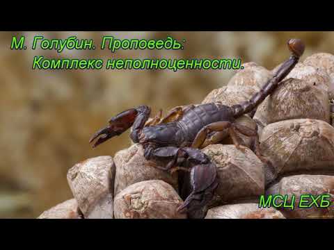 Видео: "Комплекс неполноценности". М. Голубин. Проповедь. МСЦ ЕХБ