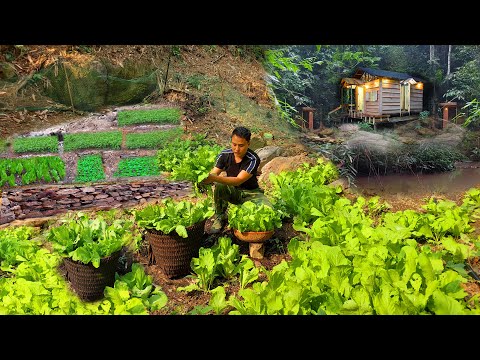 Видео: Жизнь в одиночестве на природе: сбор овощей, строительство и установка солнечной электростанции