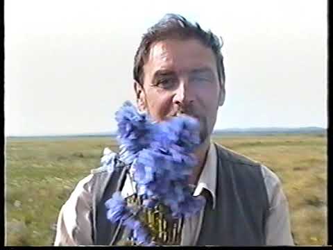 Видео: Тикси 1998 год 2 часть. Лисицын