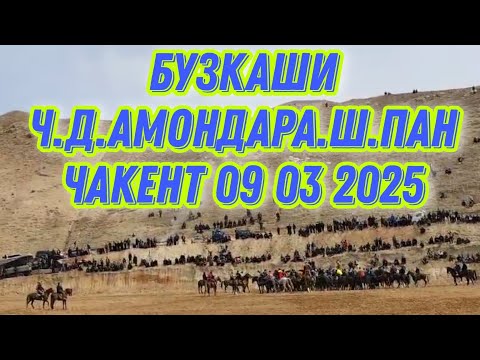 Видео: Бузкаши Ч Д АМОНДАРА  Ш ПАНЧАКЕНТ 09 03 2025