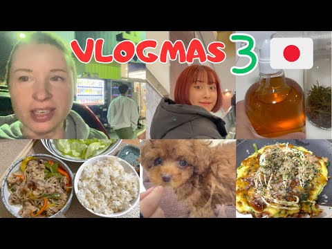 Видео: СРЕДСТВО ДЛЯ РОСТА ВОЛОС/ИЩЕМ НАШЕГО ПИТОМЦА/ЧТО НА УЖИН/ОПЯТЬ ИНДИЙСКИЙ РЕСТОРАН/#япония  #vlogmas