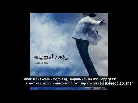 Видео: Animal ДжаZ - Три полоски (караоке)
