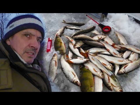 Видео: Зимняя рыбалка. Рыбалка в палатке с печкой.