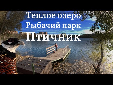 Видео: Тёплое озеро, рыбачий парк, птичник! Всё в одном месте! Уфа Инорс.