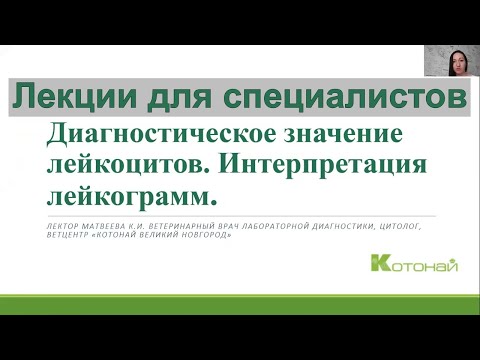 Видео: Диагностическое значение лейкоцитов.  Интерпретация лейкограмм