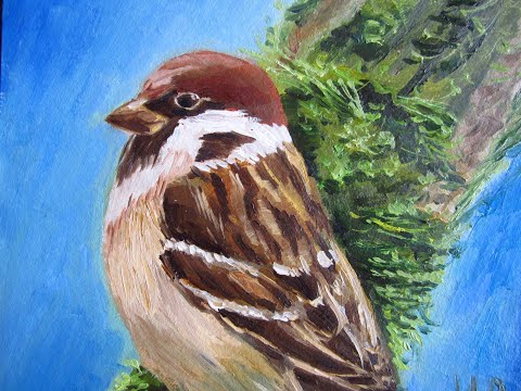 Видео: Зачем художнику воробей//рисуем воробьишку