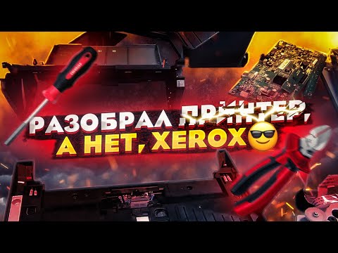 Видео: #xerox 3125 разборка полная. Добывают платы и цветмет.