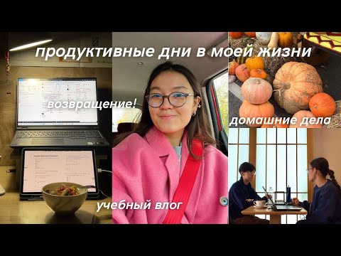 Видео: учебный влог | возвращение на канал, много домашних дел и учебы