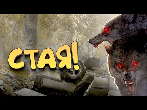 Видео: Scum 2022 - Стая! - Петя на байке #12