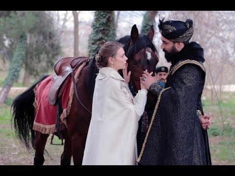 Видео: султан моего сердца СМС