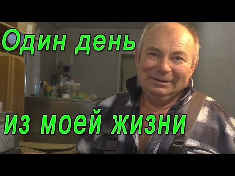 Видео: Один день из моей жизни | Будни птицевода