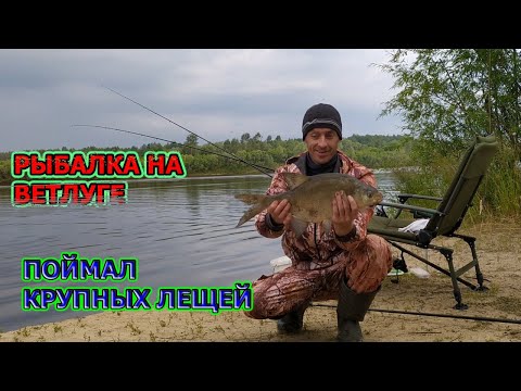 Видео: ФИДЕРНАЯ РЫБАЛКА НА ВЕТЛУГЕ; УЛОВИСТАЯ ПРИКОРМКА НА ЛЕЩА И ЯЗЯ  Отсекаем мелочь