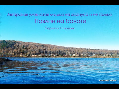 Видео: Авторская, уловистая мушка, павлин на болоте