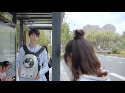 Видео: Золушка ревновала, красивый босс паниковал и изо всех сил старался ее уговорить