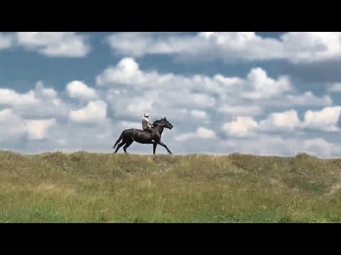 Видео: Мое село Рябина