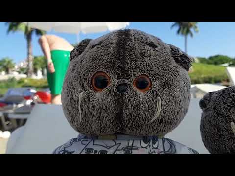 Видео: Влог из Турции!!!(но смогли заснять только одно видео по тому что отложили всё на последний день😔) 