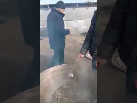 Видео: Ҳоли муҳоҷирони рондашуда аз фурудгоҳ (навори пурра)