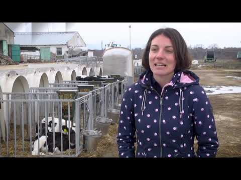 Видео: Животновъден дневник: Фермата на семейство Куртеви в Златовръх