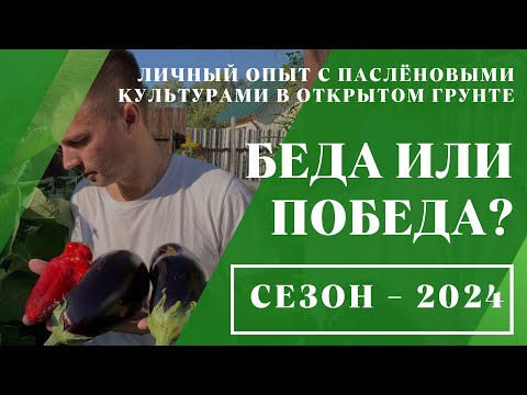 Видео: Беда или победа? // Личный опыт с паслёновыми культурами в открытом грунте — 2024