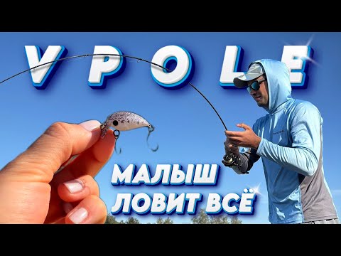 Видео: Ловля вприглядку с поверхности. Форель в Жару на безлимите VPOLE
