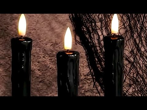 Видео: Делулус думал, что у них идеальная установка для ловушки! Но оказалось, что они играли сами себя!