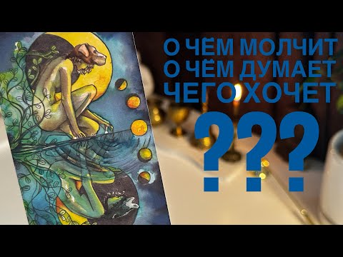 Видео: О чём молчит? О чём думает? Чего хочет?