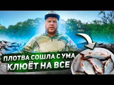 Видео: ПЛОТВА СОШЛА С УМА КЛЮЁТ НА ВСЁ