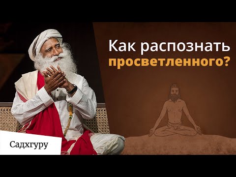 Видео: Признаки просветления