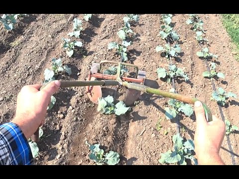 Видео: Ручний підгортач (підгортаємо капусту)