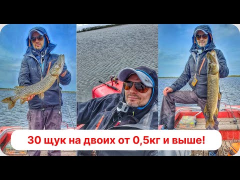Видео: Как ловить щуку весной? Кубанские Лиманы.  300422