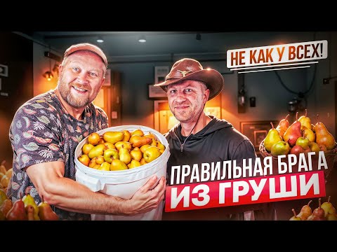 Видео: Как сделать брагу из груши и не потерять аромат !!!