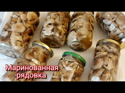 Видео: Зимой  такие  грибочки  пойдут на Ура !!  Отличная  закуска  для праздничного  и ...